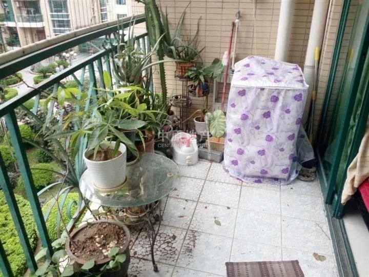 电动晾衣机 电动晾衣机